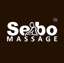 SEBO Massage Sponsor Logo – Partner of VA-BC Prep Academy